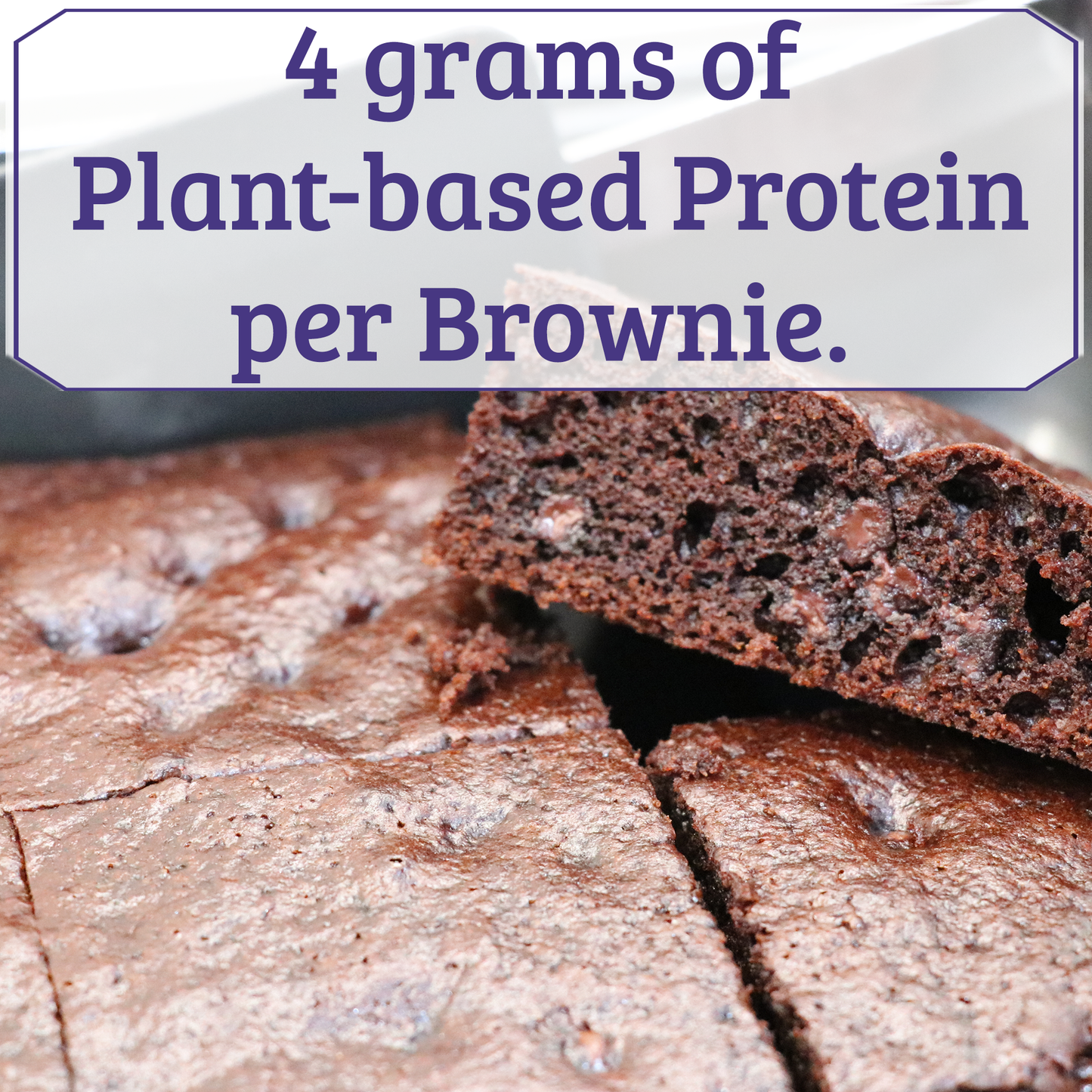 PB2 Pantry - Chocolate Brownie Mix